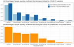 The Role of Community Food Services in Reducing U.S. Food Insufficiency in the COVID-19 Pandemic