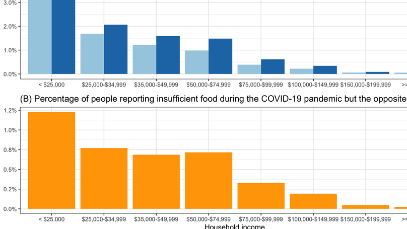 The Role of Community Food Services in Reducing U.S. Food Insufficiency in the COVID-19 Pandemic